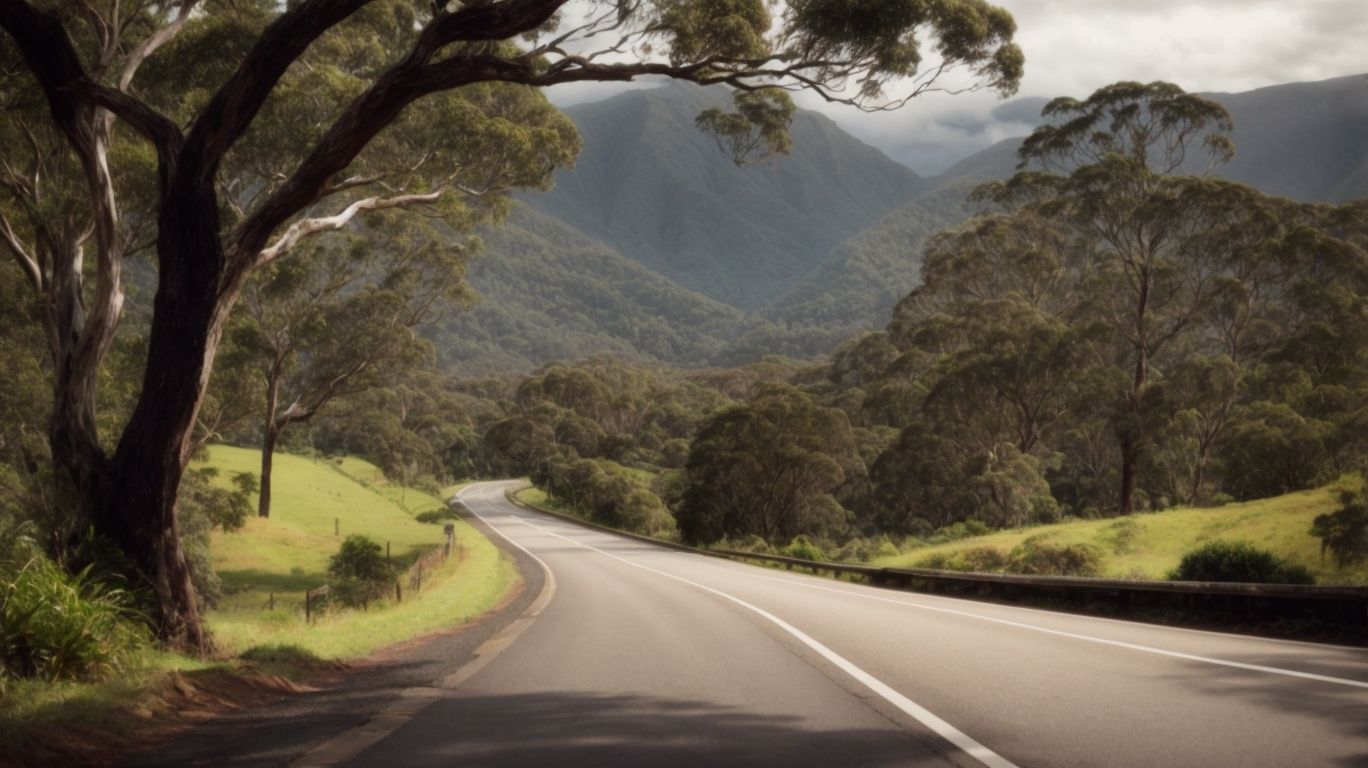 What is the Scenery and Environment like on Kangaroo Valley Road? - Is Kangaroo Valley Road Suitable for Caravans: Travel Guide 